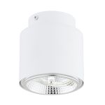Emibig Ceiling Light Nano Steel White | Suitable for 1x GU10 (AR111) - Max 12W